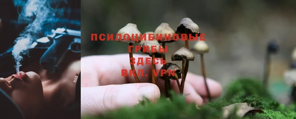 гашишное масло Алзамай