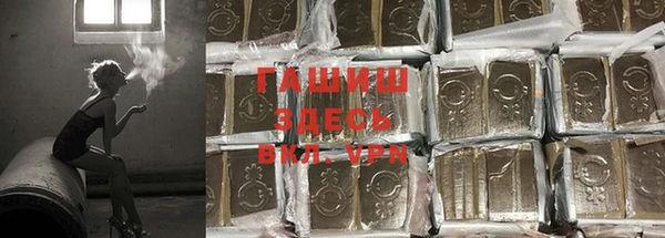 apvp Алексин