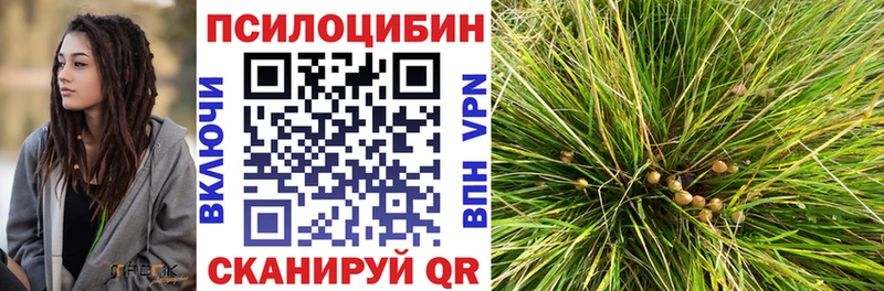 купить закладку  нарко площадка клад  ОМГ ОМГ рабочий сайт  Псилоцибиновые грибы мицелий  Абаза 